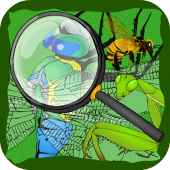 Hidden Insects Apk