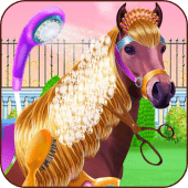 Horse Hair Salon and Mane- Tressage Apk