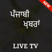 Punjabi News Live TV - All Punjabi News Papers Apk