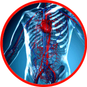 Anatomy - Physiology Apk