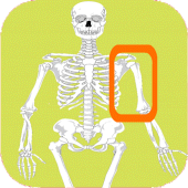 Skeleton bones, guess what is Apk