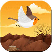 Lovely Bird Apk