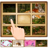 Slide Puzzle Apk