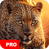 Animal Wallpapers PRO Apk