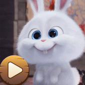 Snowball Animated Stickers for WhatsApp Apk