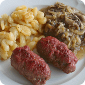 Easy Traditional German Recipe Apk