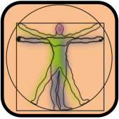 Test de Anatomía Apk