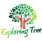 Exploring Tree Early Learning  Apk