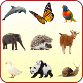 Animals for Kids Apk