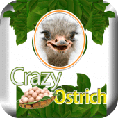 Crazy bird ostrich Apk