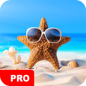 Beach Wallpapers PRO Apk