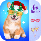 Christmas Photo Frames Apk