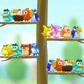 Bird Color Sort Master Apk