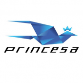 Viação Princesa Apk