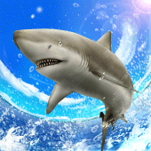 Wild Shark Fishing Apk