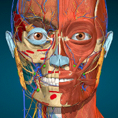 Anatomy Learning - 3D Anatomy Apk