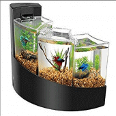 Aquarium Design Apk