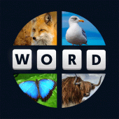 4 Pics 1 Word Apk