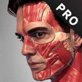 Action Anatomy Pro - Anatomy Pose App for Artist Apk