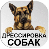 Дрессировка собак Тренируй Свою Собаку БЕСПЛАТНО Apk