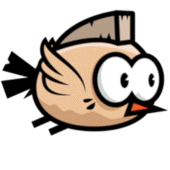 CrazyCrow Apk