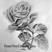 Flower Pencil Drawing Ideas Apk