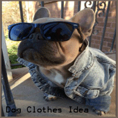 Dog Clothes Idea Apk