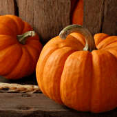 Pumpkin Wallpapers Apk