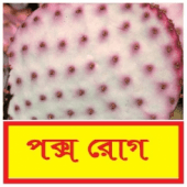 বসন্ত বা পক্স রোগ থেকে সাবধান ~ Pox disease Apk