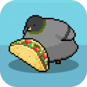 Pigeon Raising Apk