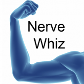 Nerve Whiz Apk