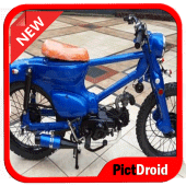 Street Cub and Choppy Cub Modification Apk