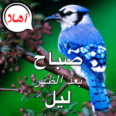 Arabic Good Morning to Night Apk