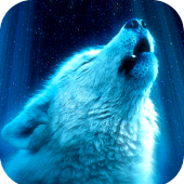 Wolf Wallpaper HD Apk