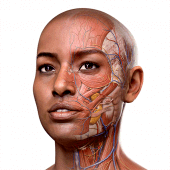 Complete Anatomy 2024 Apk