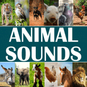 Animal Sounds for Kids Apk