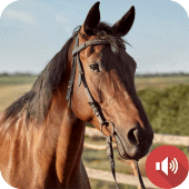 Horse Sounds Apk