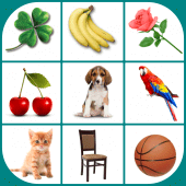 Brain game. Picture Match. Apk