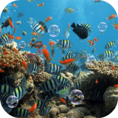 Aquarium Live Wallpaper Apk