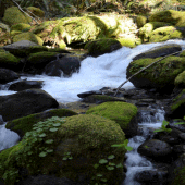 Nature Rocky Water LWP Apk