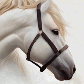 Horse Wallpaper HD: Themes Apk