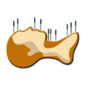 Acupuncture Points Quiz Apk