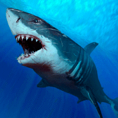 Shark HD Wallpapers Apk