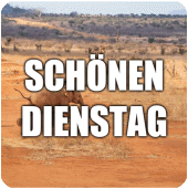 Schönen Dienstag  - Bilder und Phrasen Apk