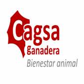 Cagsa Apk