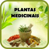 Plantas Medicinais e seus usos Apk