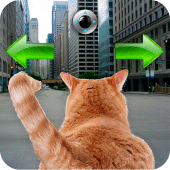 Cat In City Go Simulator Apk