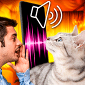 Cat Translator - translate cat Apk