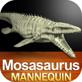 Mosasaurus Mannequin Apk