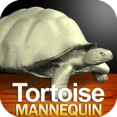 Tortoise Mannequin Apk